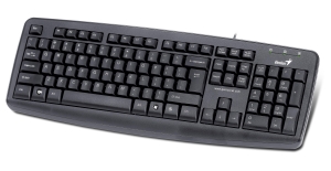 klávesnice Genius KB-110X USB CZ černá