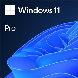 Microsoft Windows 11 Pro 64bit CZ OEM 